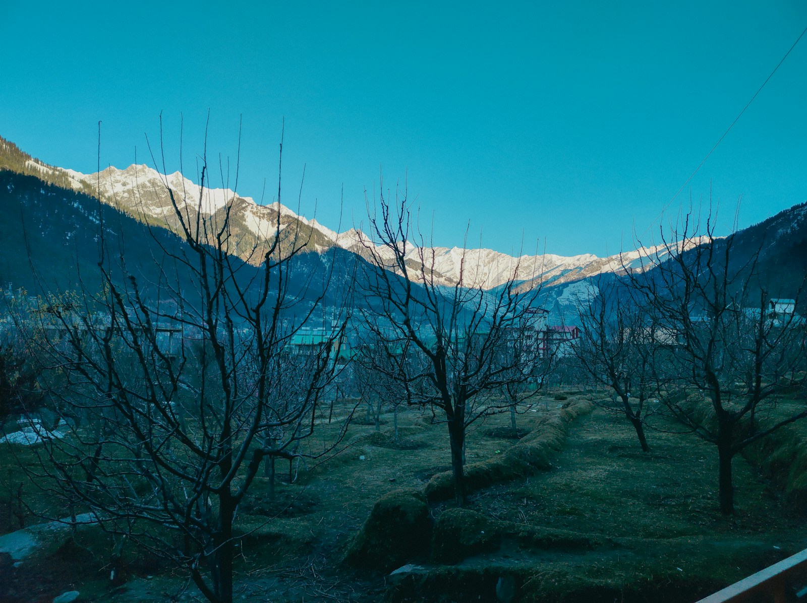 a view of a mountain range with trees in the foreground